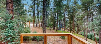 Cozy dog-friendly mountain home with mountain views and fenced in yard