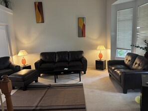 Fireplace, books, video library