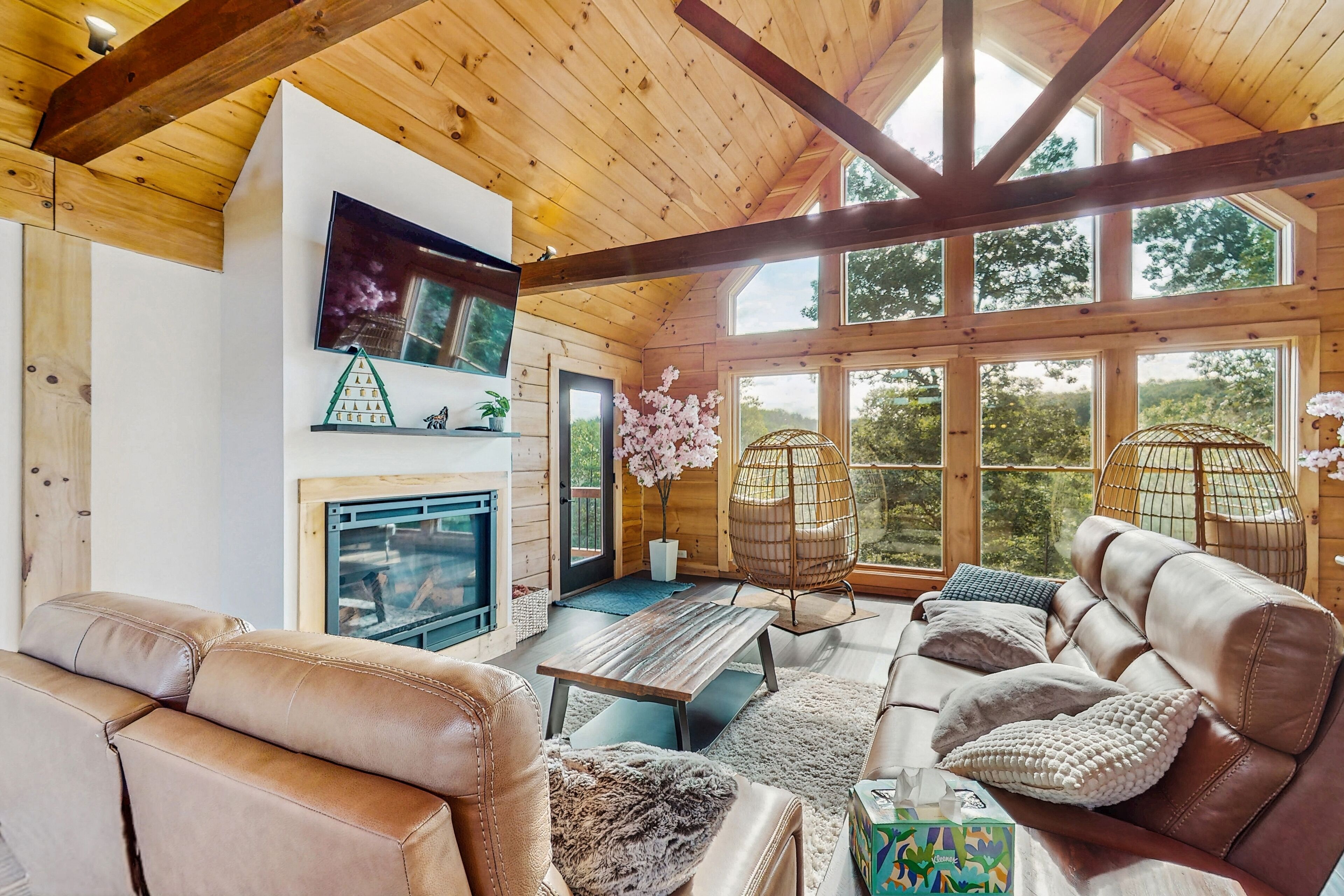 TV, fireplace, DVD player