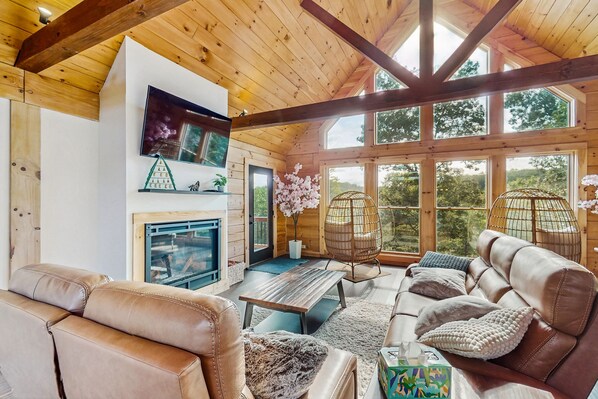 Televisión, chimenea y reproductor de DVD 