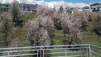 住宿场地