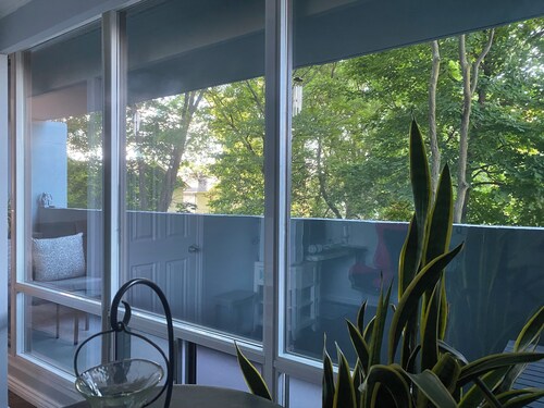 A quiet centrally located uptown 1+1 condo in T.O North York HWY 401 & Bathurst