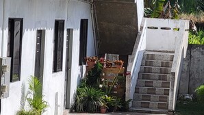 A building with a white exterior, a staircase leading to a wooden door, and various potted plants around the entrance. - Relaxing, family-friendly 2-bedroom apartment with A/C, WiFi & Central Location (Golconda)