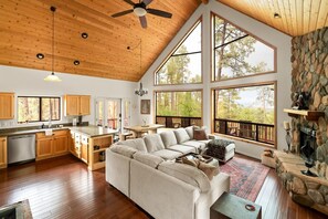 TV, peis, bøker og kontorer