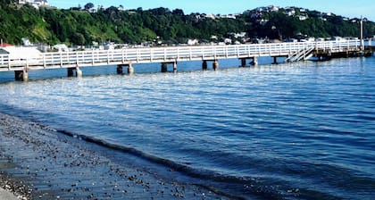Room-charming Guest Room in Seatoun, Wel