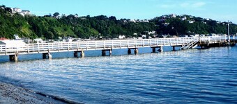 Room-charming Guest Room in Seatoun, Wel