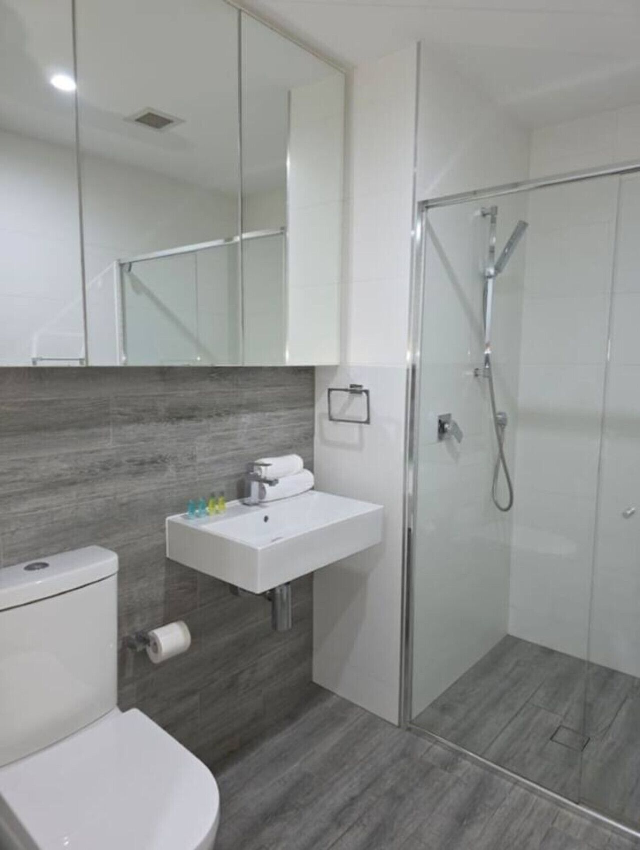 Hair dryer, towels, soap, toilet paper