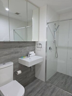 Hair dryer, towels, soap, toilet paper