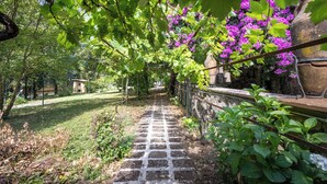 A stone pathway leading through a garden with green foliage and purple flowers. - Tenuta dell'inviolata (Velletri)