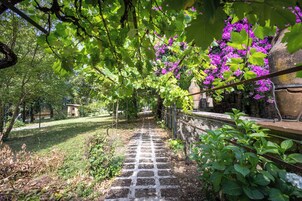 Un sendero de piedra que atraviesa un jardín con follaje verde y flores púrpuras.
