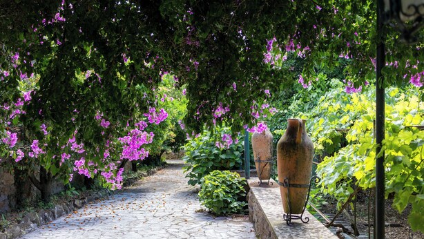A cobblestone pathway in a garden with flowering plants and two large vases on stands. - Tenuta dell'inviolata (Velletri)