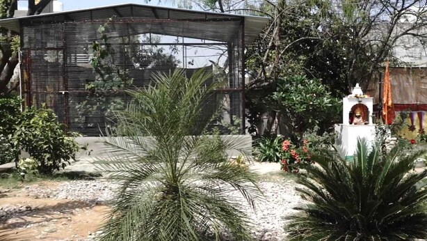 A building with a metal facade and a small shrine with a statue. - Shyam Luxurious Huts & Guest House (Shri Madhopur)