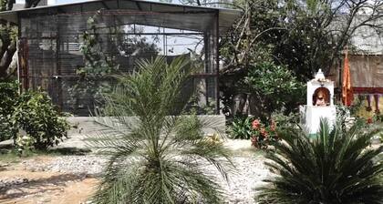 Shyam Luxurious Huts & Guest House