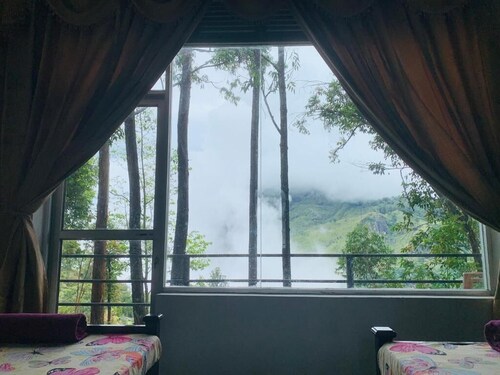 Pineapple Hills Ella