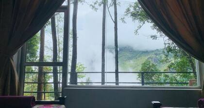 Pineapple Hills Ella