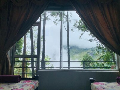 Pineapple Hills Ella