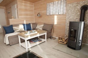 Smart TV, fireplace, books