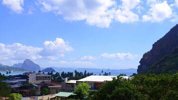 Apartment, 1 Queen Bed | Terrace/patio