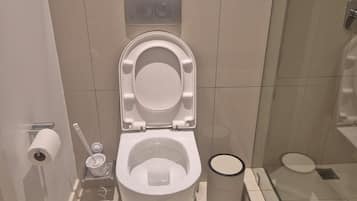 Shower, towels, soap, toilet paper