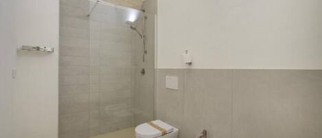Een badkamer met een douche met glazen wand, een toilet en een bidet.
