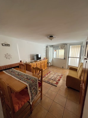 Smart TV, chimenea y libros 