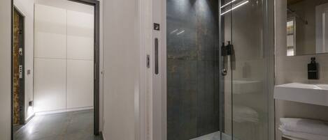 A modern bathroom with a glass shower enclosure, a white sink, and a mirror.