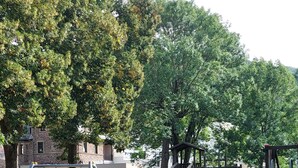 A fenced playground with a slide and climbing structures, surrounded by trees and a stone building in the background. - Vacation apartment "Beim alten Pfarrhaus" (Zell (Mosel))