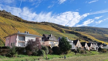 Esterni