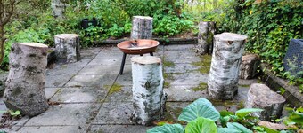 Lovely 4-bedroom villa in Odense for a relaxing getaway