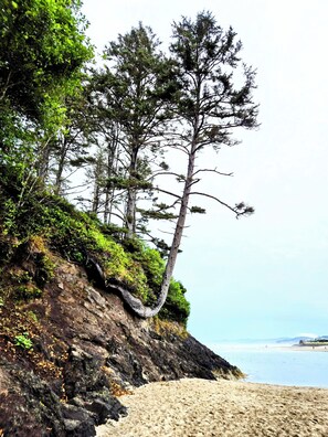 Beach - Coastal Adventures, Lake, Ocean, Casinos, Hiking (Neotsu)