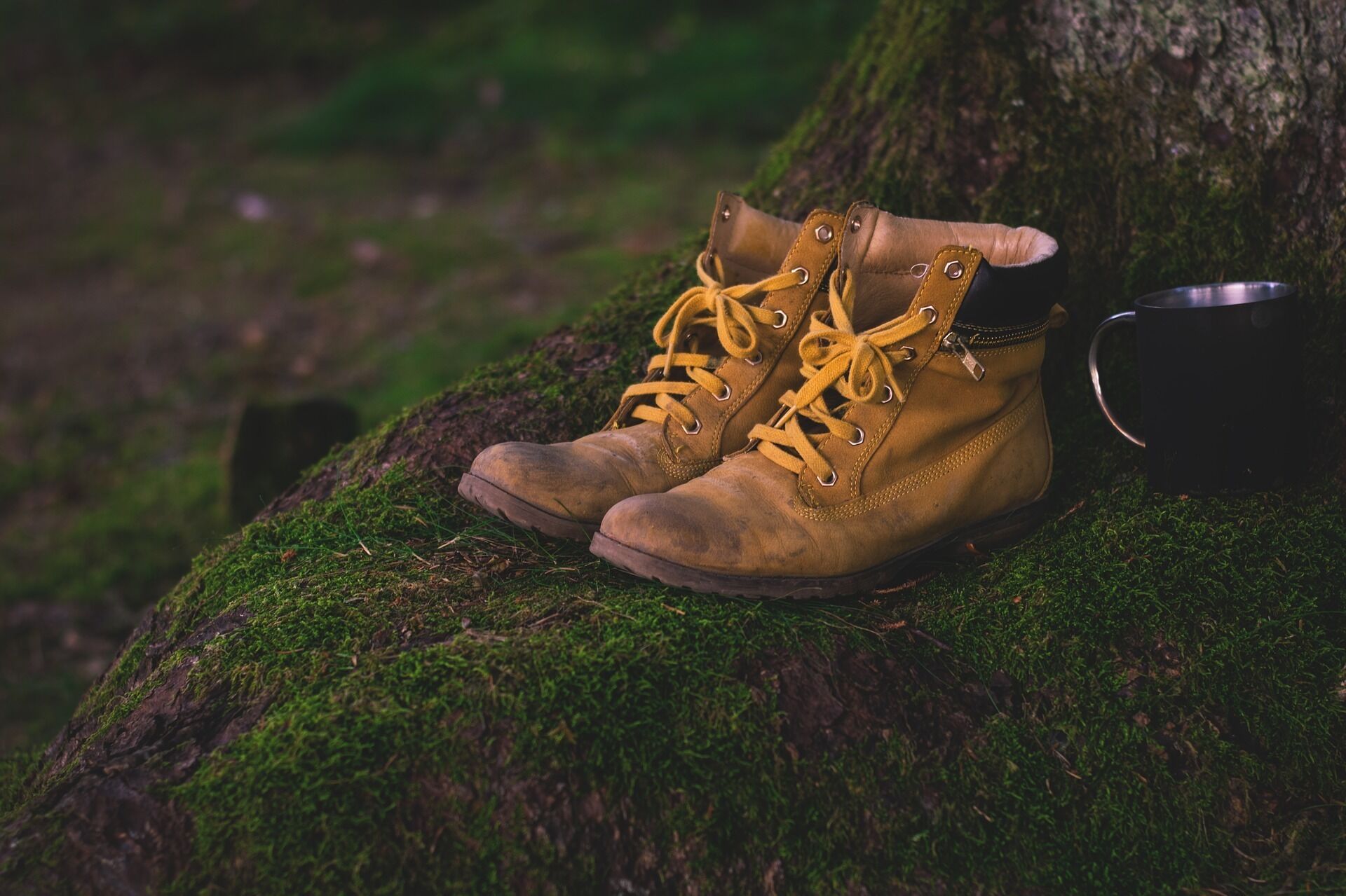Braune Wanderschuhe mit gelben Schnürsenkeln auf einem moosbewachsenen Stein.