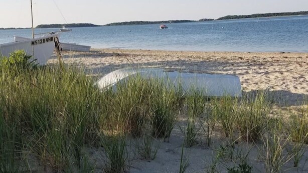 Een strand met een boot met de aanduiding MS1284HB en een overdekt gebied.
