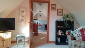 TV, DVD player, books, video library