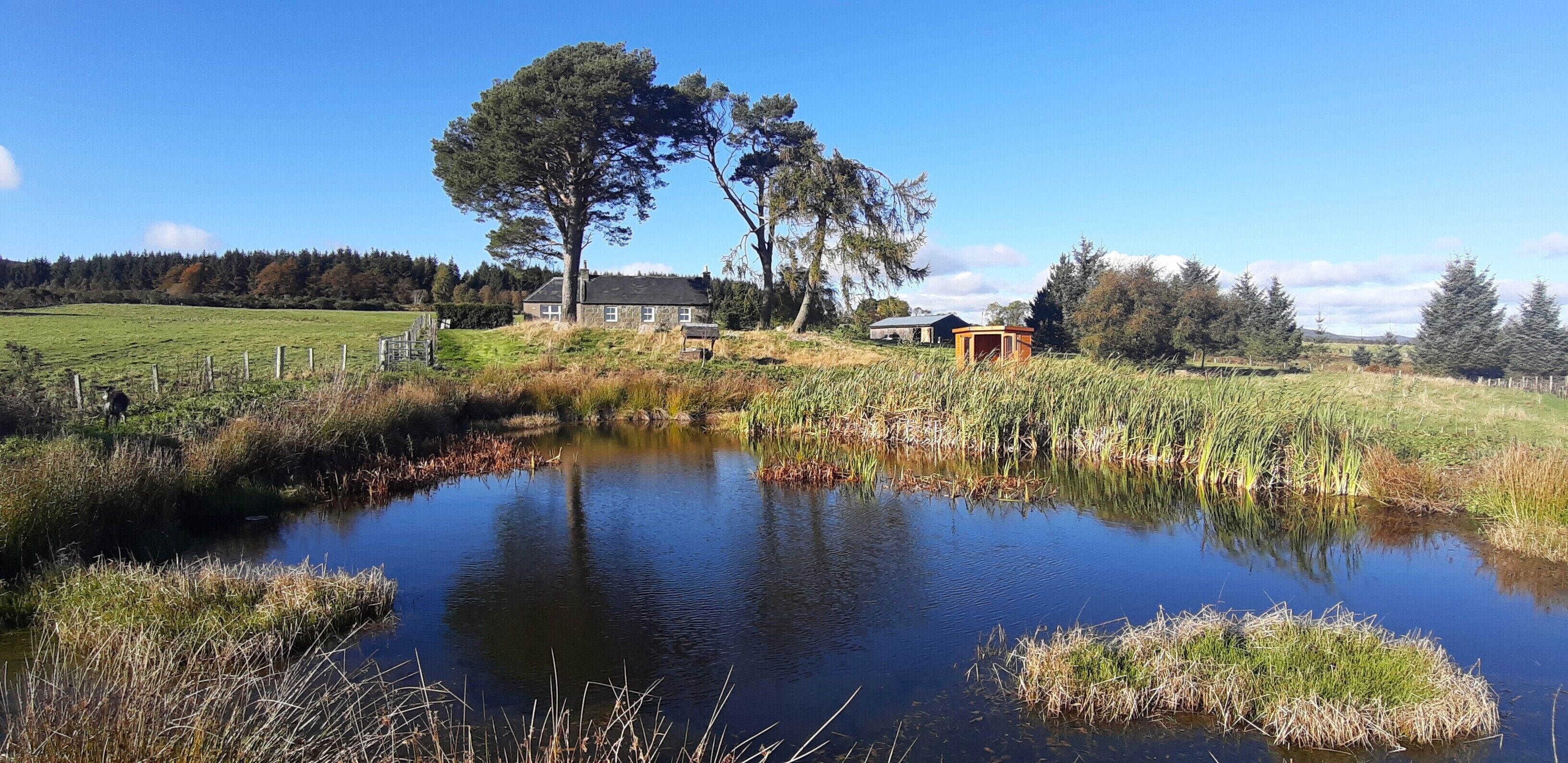 A rural landscape with a pond, a stone house, and a wooden structure.