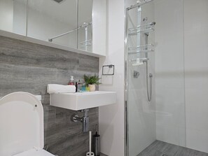 Hair dryer, towels, soap, toilet paper