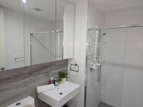 Hair dryer, towels, soap, toilet paper