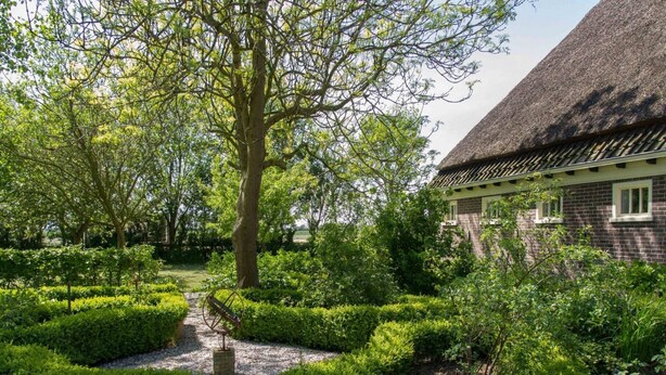 Un jardin avec un chemin de gravier, des haies soigneusement taillées et un grand arbre.