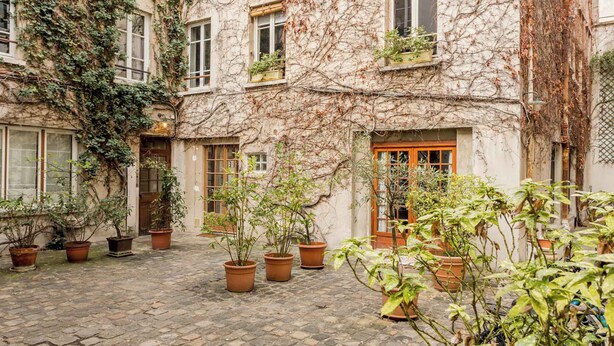 Un patio con plantas en macetas y un edificio con paredes y ventanas cubiertas de hiedra.