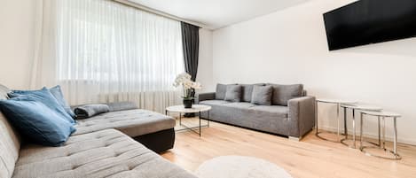 Fernseher