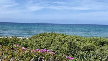 Playa
