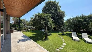 Terraço/pátio