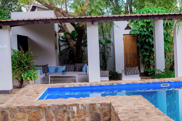 Outdoor pool, pool loungers