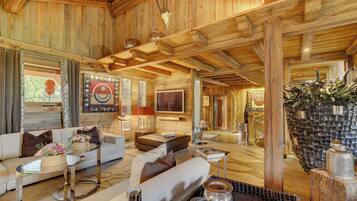 TV, fireplace, offices