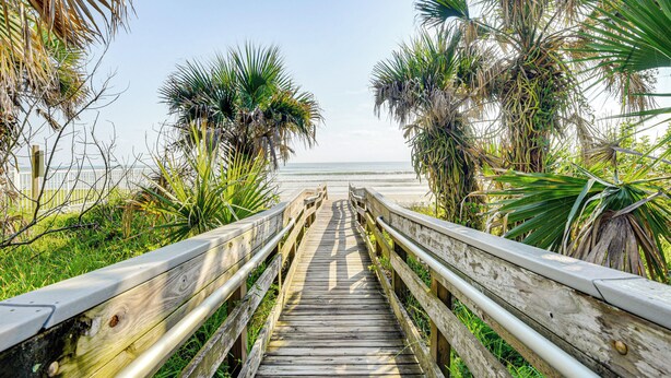 A wooden boardwalk leading to the beach, surrounded by palm trees and greenery. - Direct Beach Access: NSB Condo w/ Community Perks (New Smyrna Beach)