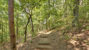 A forested path with steps leading uphill. - 0.5 Mi to Table Rock Lake: Ozark Mountains Cabin (Kimberling City)