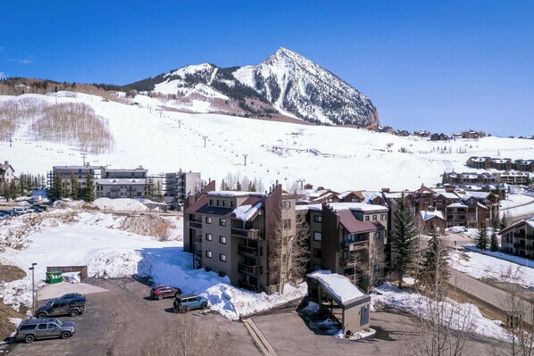 Apartment (1 Bedroom) | Interior