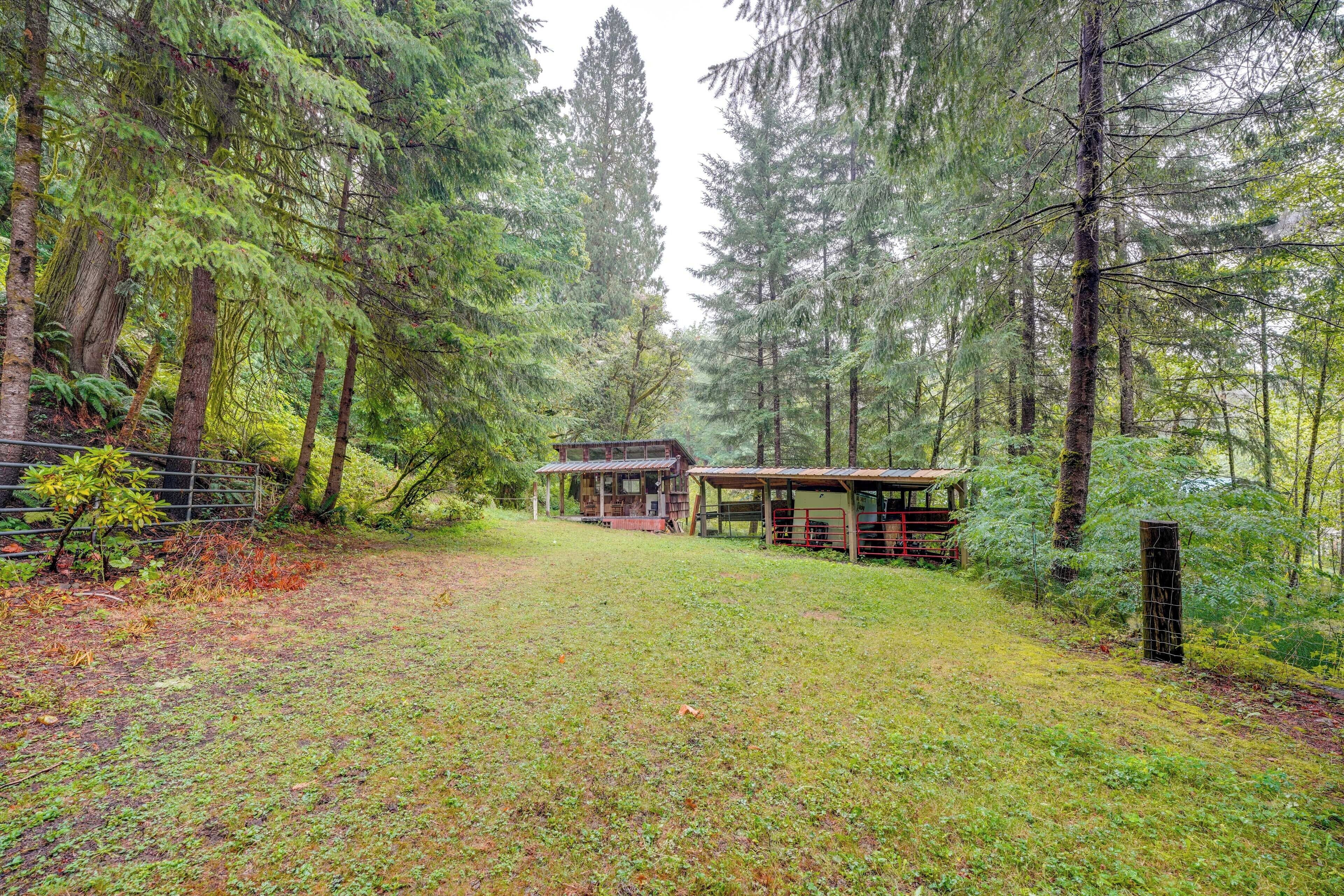 A rustic cabin surrounded by tall trees in a forested area.