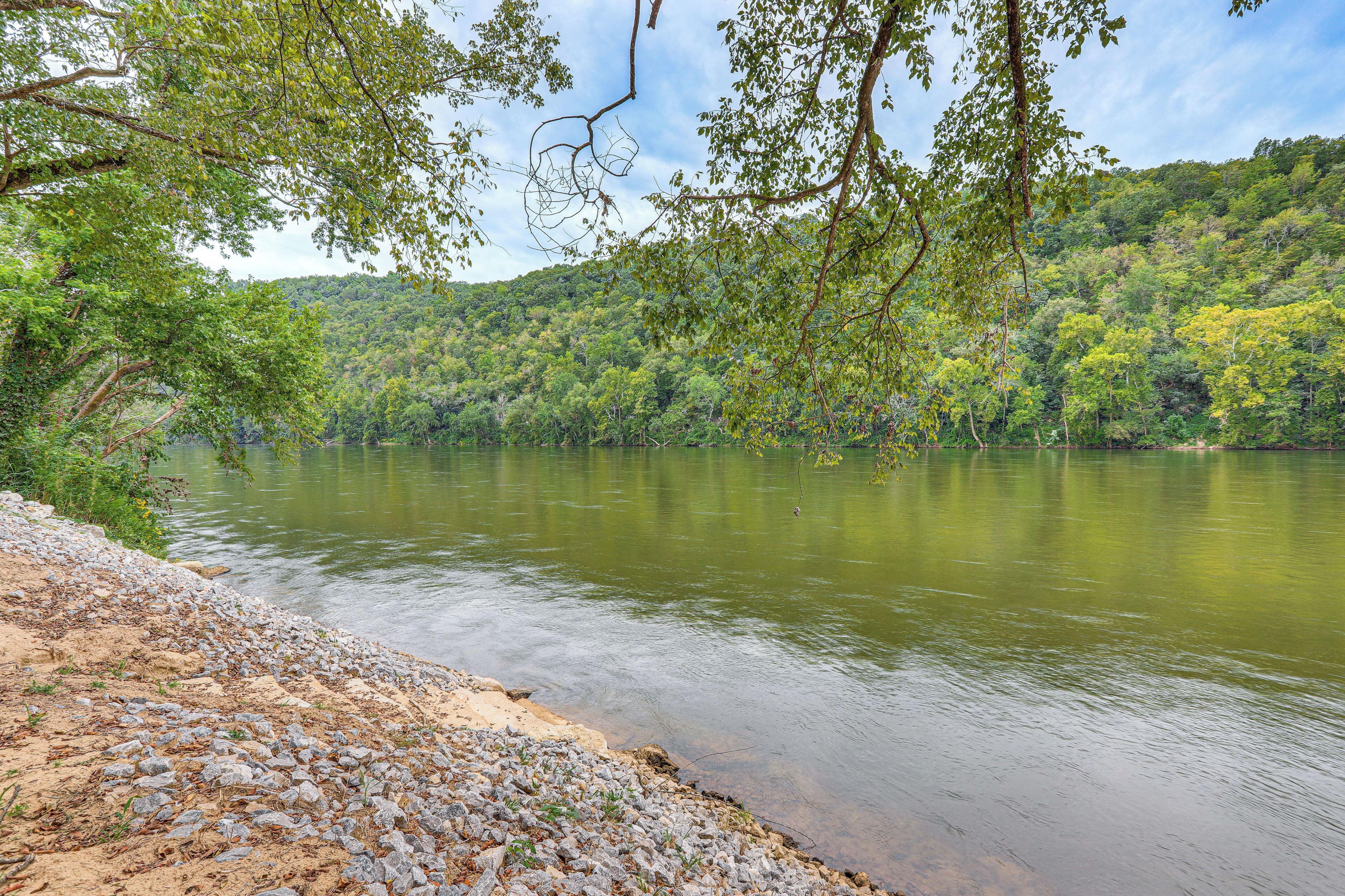 Une rive de rivière bordée d’un littoral rocheux, avec une forêt dense en arrière-plan.