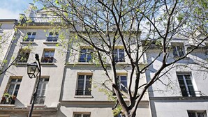 Un edificio a più piani con balconi, finestre e un albero di fronte.