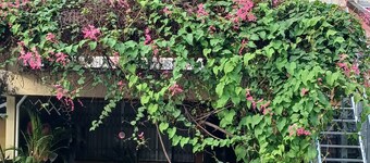 Serene Mountain Retreat in KL - Entire House for Rent